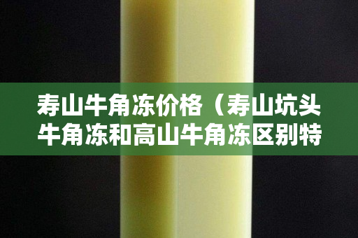 壽山牛角凍價格（壽山坑頭牛角凍和高山牛角凍區別特征）