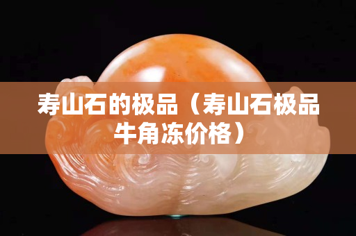 壽山石的極品（壽山石極品牛角凍價格）