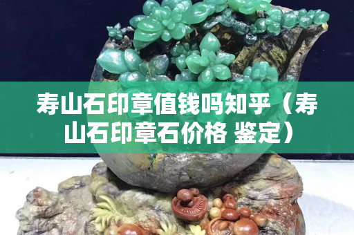 壽山石印章值錢嗎知乎（壽山石印章石價格 鑒定）