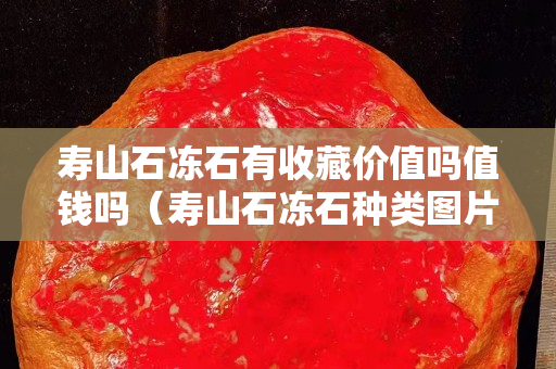 壽山石凍石有收藏價(jià)值嗎值錢嗎（壽山石凍石種類圖片）