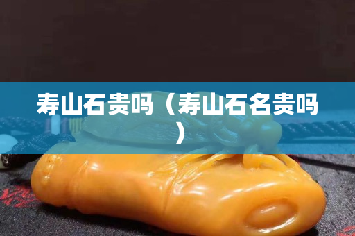 壽山石貴嗎（壽山石名貴嗎）