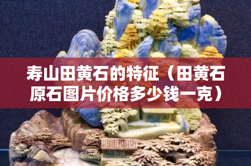 壽山田黃石的特征（田黃石原石圖片價格多少錢一克）