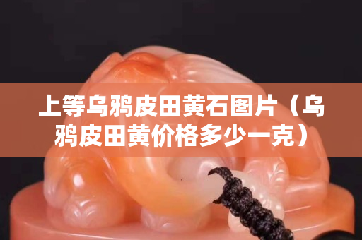 上等烏鴉皮田黃石圖片（烏鴉皮田黃價格多少一克）