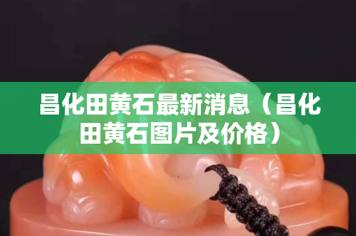 昌化田黃石最新消息（昌化田黃石圖片及價格）