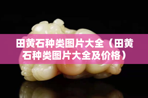 田黃石種類圖片大全（田黃石種類圖片大全及價格）
