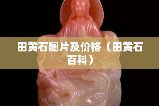 田黃石圖片及價格（田黃石百科）