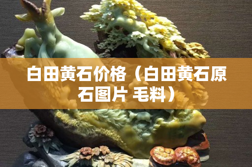 白田黃石價格（白田黃石原石圖片 毛料）