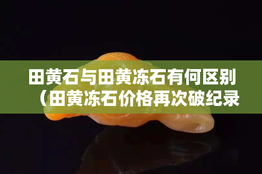 田黃石與田黃凍石有何區(qū)別（田黃凍石價格再次破紀(jì)錄達(dá)到10萬一克？）