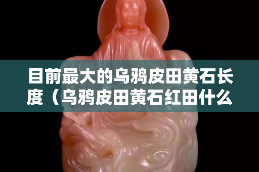 目前最大的烏鴉皮田黃石長度（烏鴉皮田黃石紅田什么價格）
