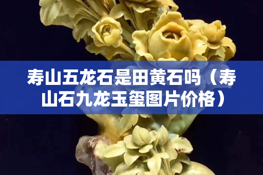 壽山五龍石是田黃石嗎（壽山石九龍玉璽圖片價格）