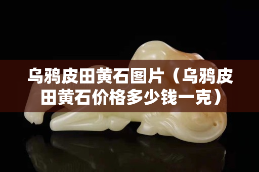 烏鴉皮田黃石圖片（烏鴉皮田黃石價格多少錢一克）