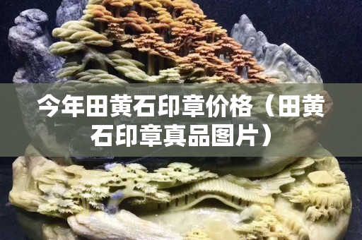 今年田黃石印章價格（田黃石印章真品圖片）