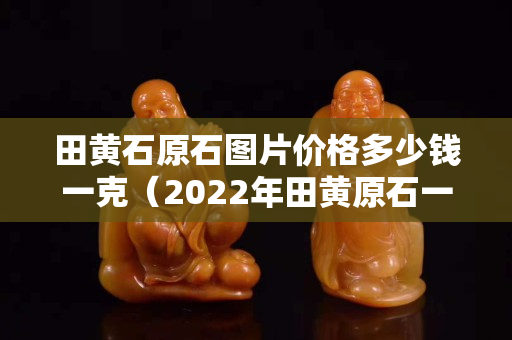 田黃石原石圖片價格多少錢一克（2022年田黃原石一克多少錢）