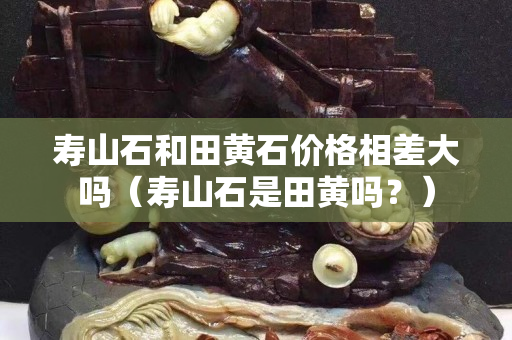 壽山石和田黃石價格相差大嗎（壽山石是田黃嗎？）