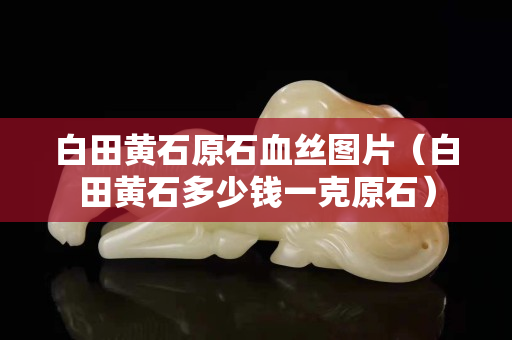 白田黃石原石血絲圖片（白田黃石多少錢一克原石）