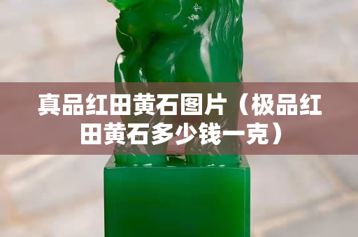 真品紅田黃石圖片（極品紅田黃石多少錢一克）