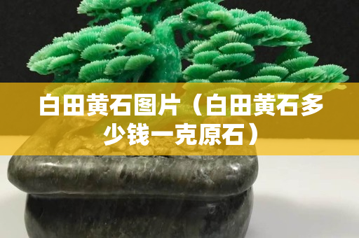 白田黃石圖片（白田黃石多少錢一克原石）