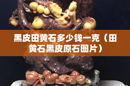 黑皮田黃石多少錢一克（田黃石黑皮原石圖片）