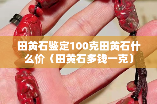 田黃石鑒定100克田黃石什么價（田黃石多錢一克）