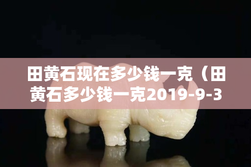 田黃石現(xiàn)在多少錢一克（田黃石多少錢一克2019-9-35443閱讀）