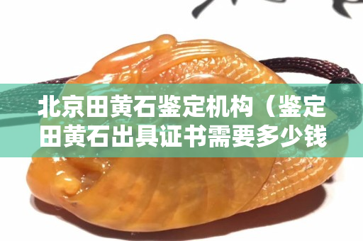 北京田黃石鑒定機構（鑒定田黃石出具證書需要多少錢）