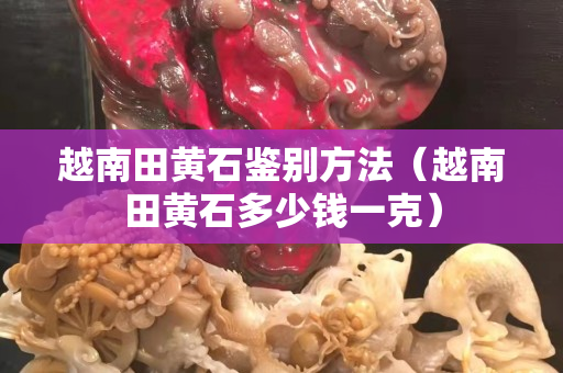 越南田黃石鑒別方法（越南田黃石多少錢一克）