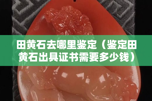 田黃石去哪里鑒定（鑒定田黃石出具證書需要多少錢）