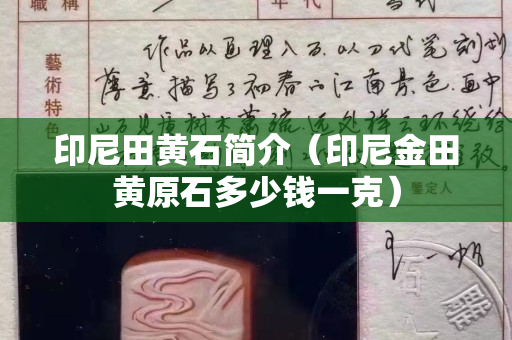 印尼田黃石簡介（印尼金田黃原石多少錢一克）