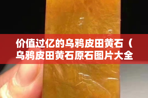 價值過億的烏鴉皮田黃石（烏鴉皮田黃石原石圖片大全）