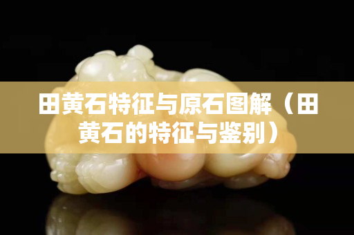 田黃石特征與原石圖解（田黃石的特征與鑒別）