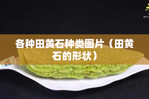 各種田黃石種類圖片（田黃石的形狀）