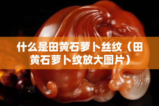 什么是田黃石蘿卜絲紋（田黃石蘿卜紋放大圖片）