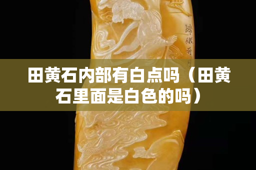 田黃石內(nèi)部有白點嗎（田黃石里面是白色的嗎）