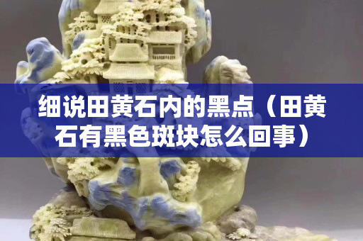 細(xì)說(shuō)田黃石內(nèi)的黑點(diǎn)（田黃石有黑色斑塊怎么回事）