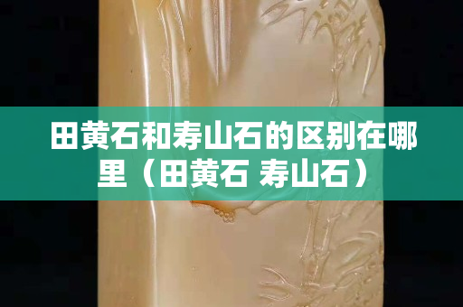田黃石和壽山石的區別在哪里（田黃石 壽山石）