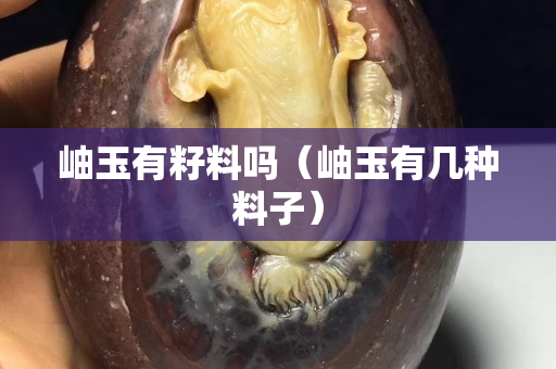 岫玉有籽料嗎（岫玉有幾種料子）