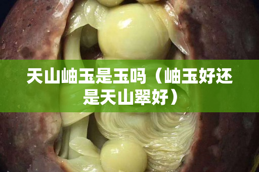 天山岫玉是玉嗎（岫玉好還是天山翠好）