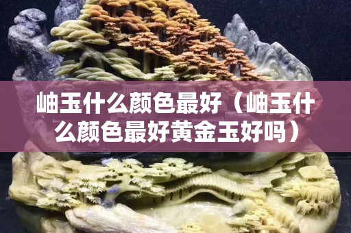 岫玉什么顏色最好（岫玉什么顏色最好黃金玉好嗎）