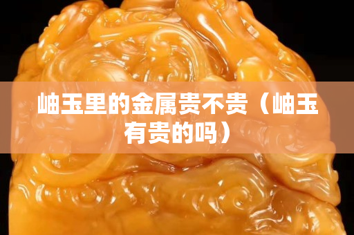 岫玉里的金屬貴不貴（岫玉有貴的嗎）