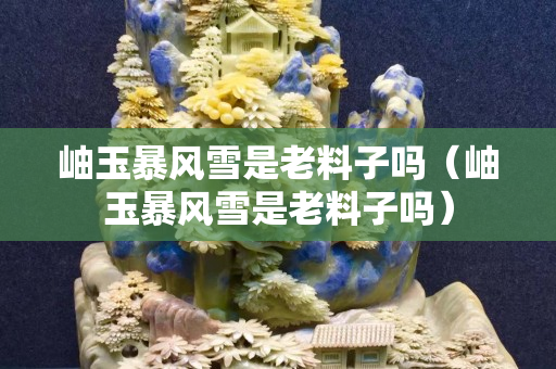 岫玉暴風雪是老料子嗎（岫玉暴風雪是老料子嗎）