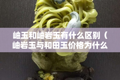 岫玉和岫巖玉有什么區(qū)別（岫巖玉與和田玉價格為什么差很多）
