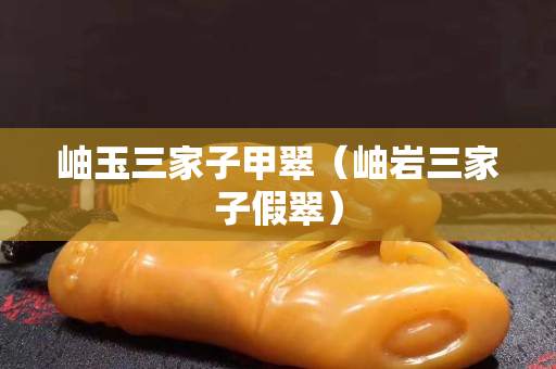 岫玉三家子甲翠（岫巖三家子假翠）