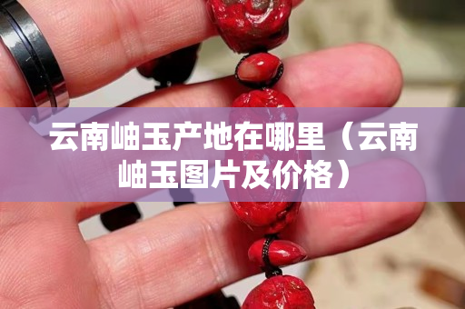 云南岫玉產(chǎn)地在哪里（云南岫玉圖片及價格）
