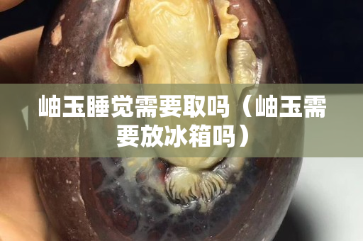 岫玉睡覺需要取嗎（岫玉需要放冰箱嗎）