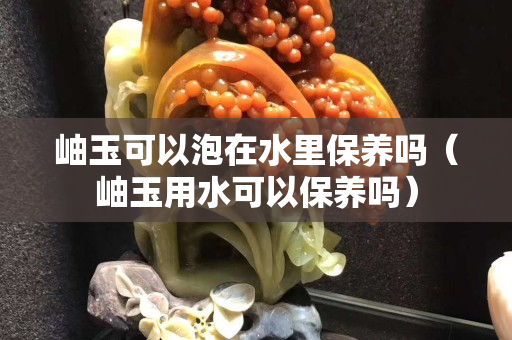 岫玉可以泡在水里保養嗎（岫玉用水可以保養嗎）