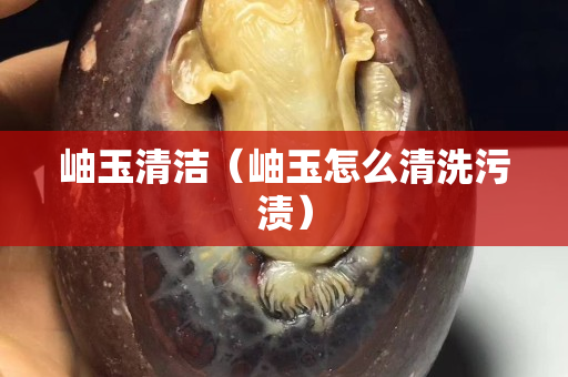 岫玉清潔（岫玉怎么清洗污漬）