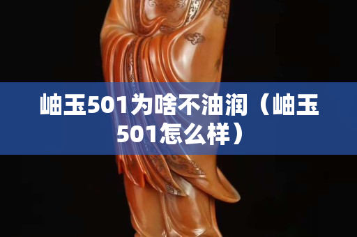 岫玉501為啥不油潤（岫玉501怎么樣）