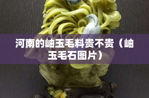 河南的岫玉毛料貴不貴（岫玉毛石圖片）