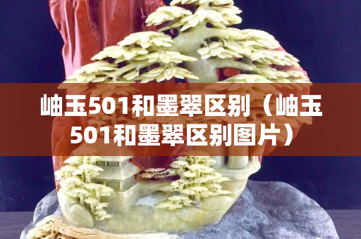 岫玉501和墨翠區(qū)別（岫玉501和墨翠區(qū)別圖片）