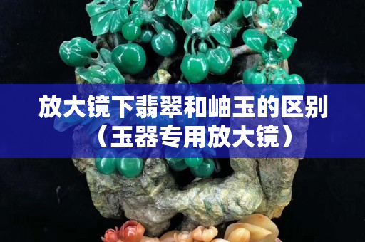 放大鏡下翡翠和岫玉的區(qū)別（玉器專用放大鏡）
